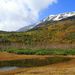 20061015_tsugaiketrip_05